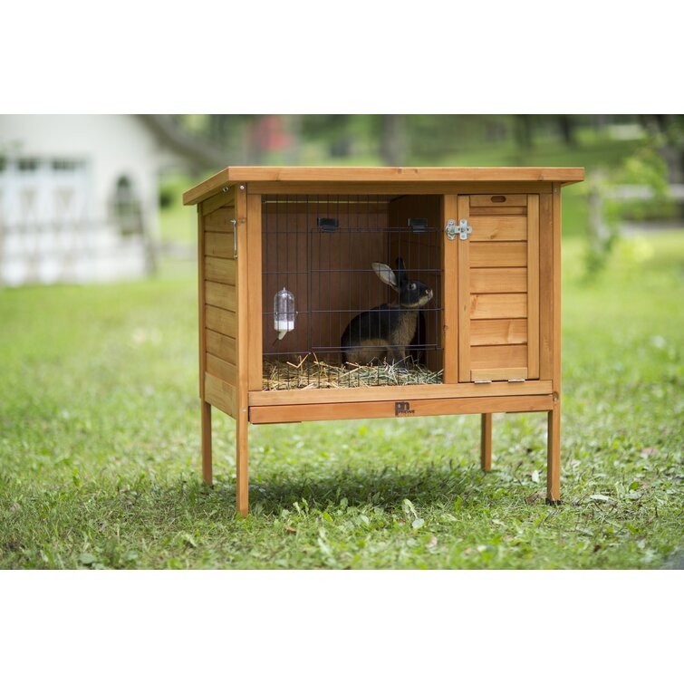 Tucker murphy pet rabbit hot sale hutch